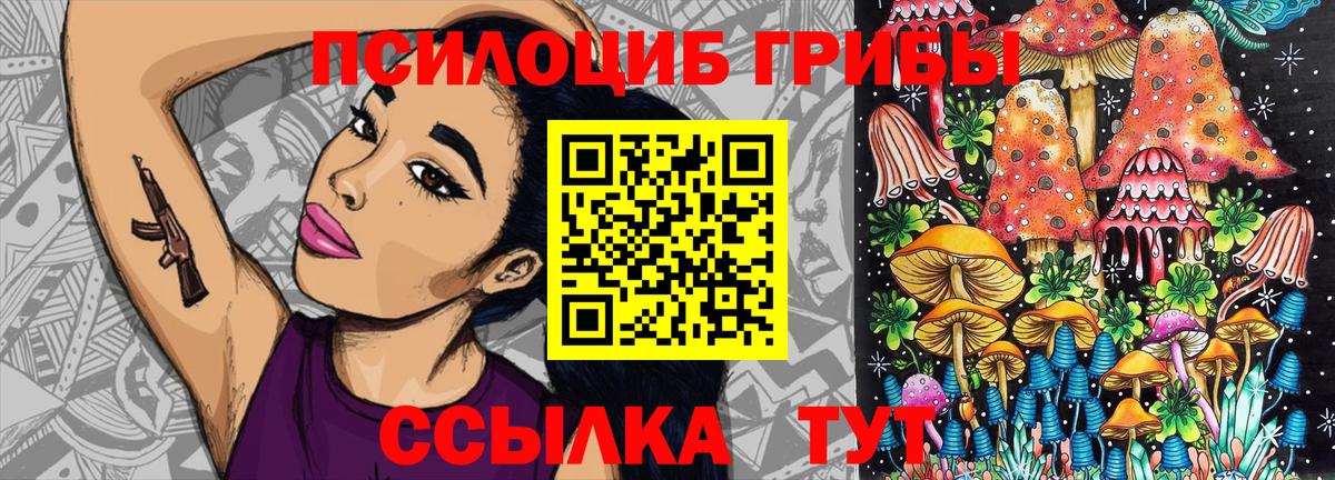 Псилоцибиновые грибы GOLDEN TEACHER  закладки  Галлюциногенные грибы GOLDEN TEACHER  Обь  Вход с VPN 